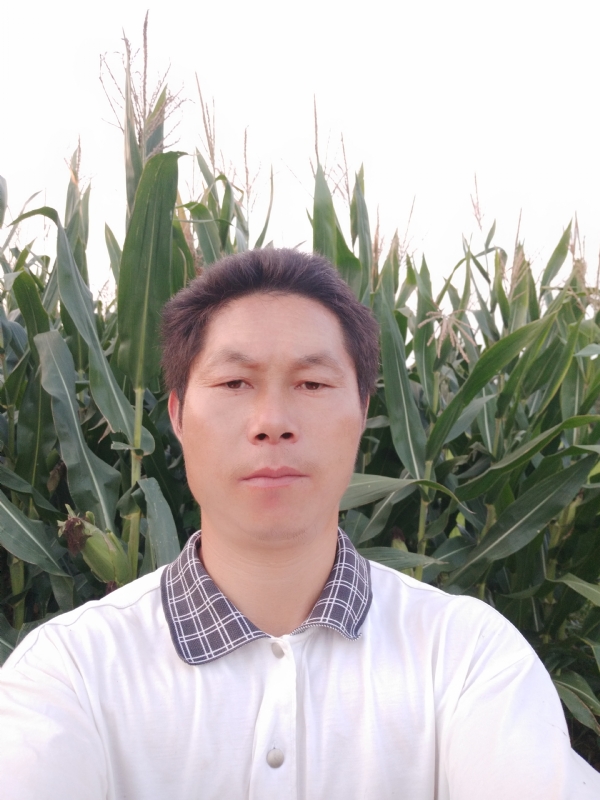 四海游龙的第二张照片--常德相亲服务中心