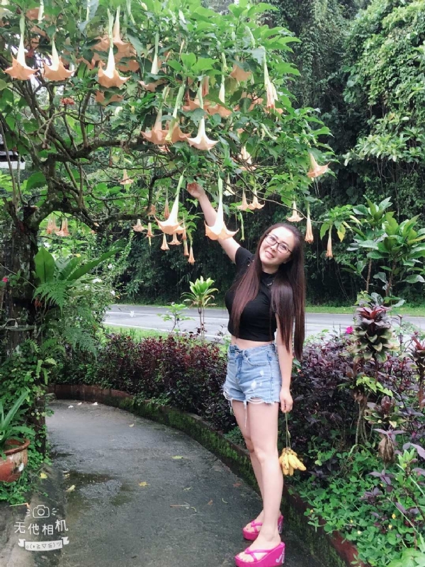 离异单身无子的第二张照片--常德相亲服务中心
