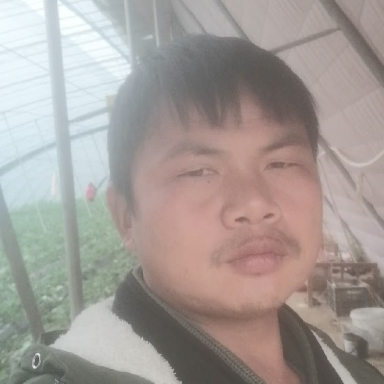 孤狼‘的第一张照片--常德相亲服务中心
