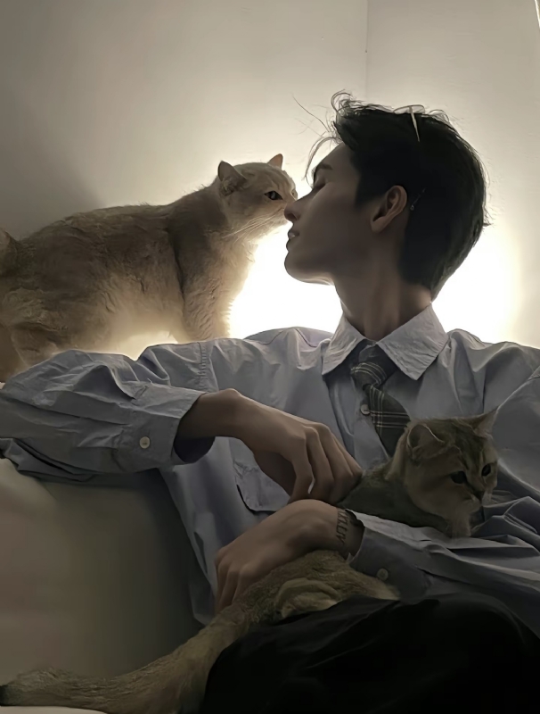 怪猫的第一张照片--常德相亲服务中心