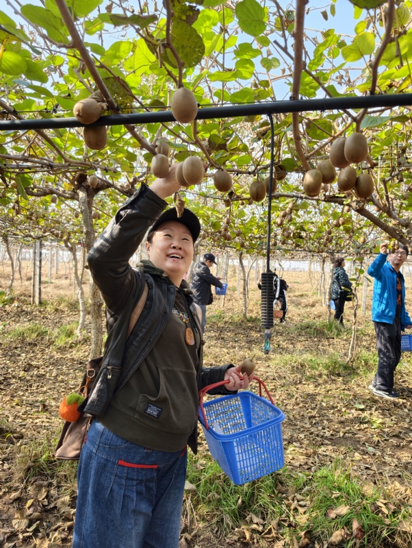 夜莺的第三张照片--常德相亲服务中心